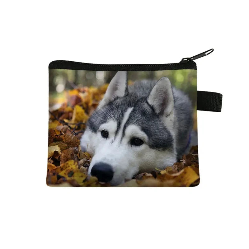 Dog Print Coin Purse – German Shepherd & Husky Card Holder Wallet